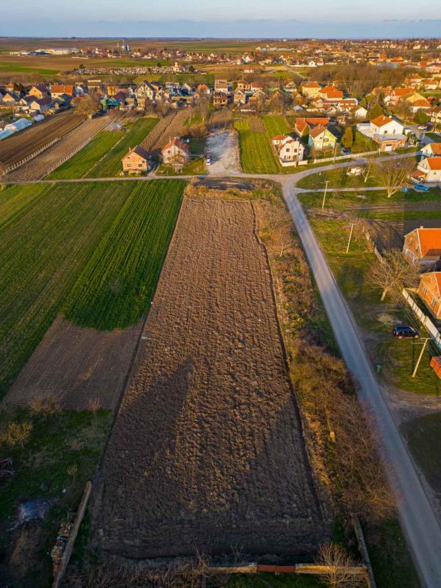 Prodaja, Plac, 14135m2 , Stara Pazova