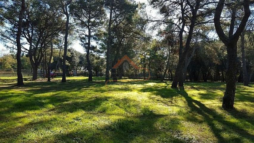 Rovinj - građevinsko zemljište u turističkoj zoni 12058m2