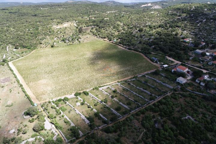 BRAČ - BRUSJE VINOGRAD, RIJETKO NA TRŽIŠTU