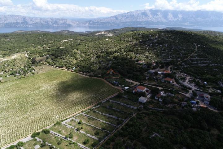 BRAČ - BRUSJE VINOGRAD, RIJETKO NA TRŽIŠTU