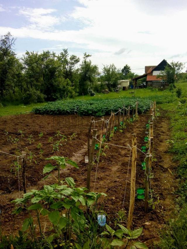 Kuća 80m2 sa okućnicom 39 ari u Starom Momčilovu, Žitorađa