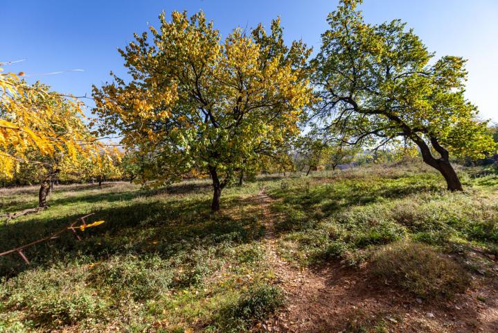 Veliki  plac  za  gradnju - za  investitore ,  Palilula, odlična  lokacija  6990 m2, 