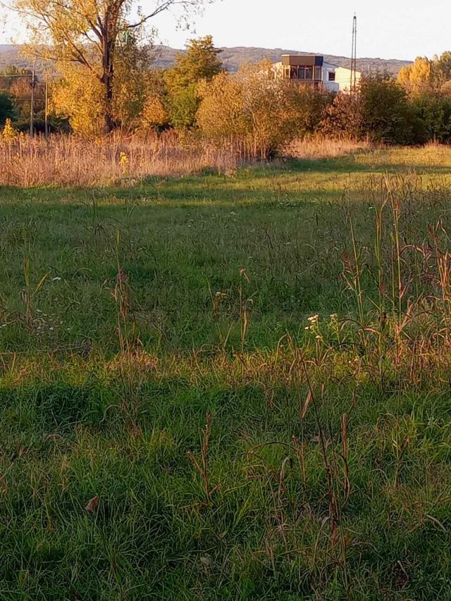 Odlična ponuda, plac  23. 03 ara, Jelašnički put