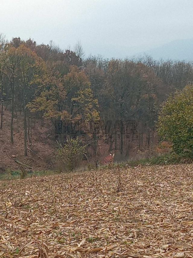 Poljoprivredno i šumsko zemljište u Kragujevcu, naselje Grošnica -1 ha i 86 ari