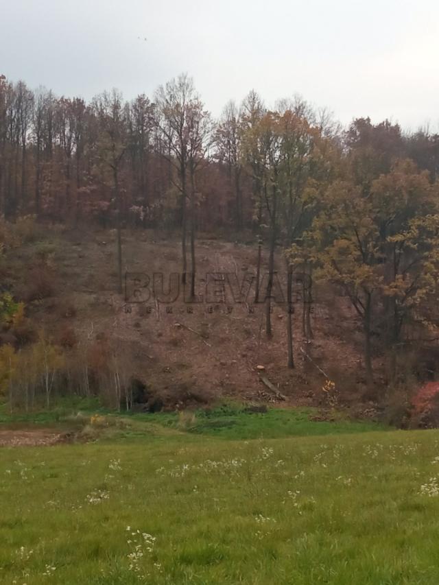 Poljoprivredno i šumsko zemljište u Kragujevcu, naselje Grošnica -1 ha i 86 ari