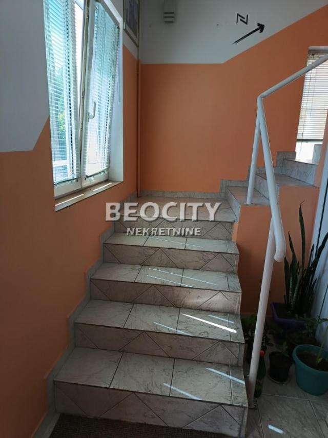 Zemun, Donji grad, , 5. 0, 330m2, 590000EUR