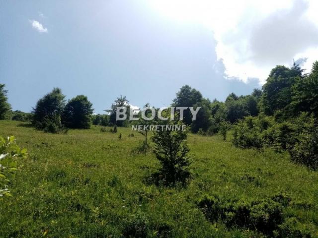 Ivanjica, Golija, , 100a, 20000EUR