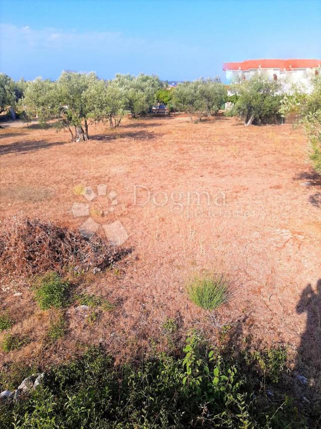 BEAUTIFUL AGRICULTURAL LAND WITH A VIEW OF BRJUNE