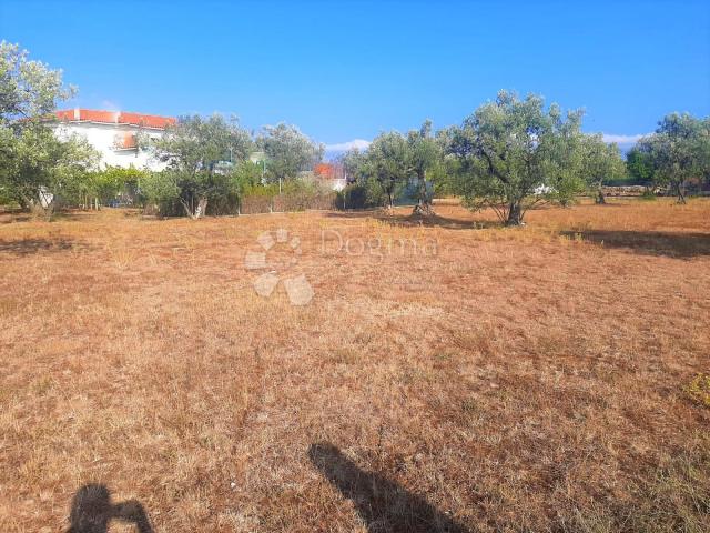 BEAUTIFUL AGRICULTURAL LAND WITH A VIEW OF BRJUNE