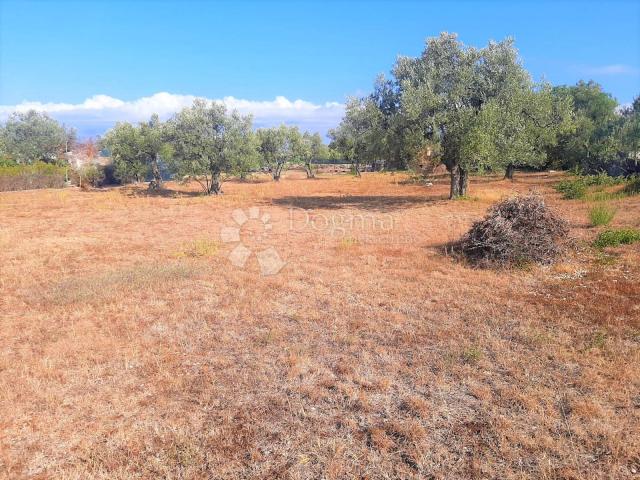 BEAUTIFUL AGRICULTURAL LAND WITH A VIEW OF BRJUNE