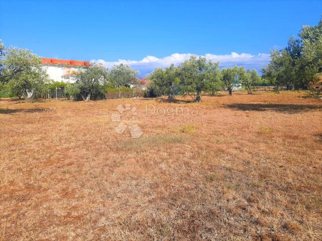 BEAUTIFUL AGRICULTURAL LAND WITH A VIEW OF BRJUNE