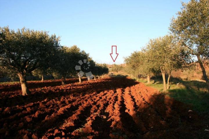 Land Bale, 2.005m2