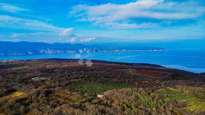 Otok Krk prekrasno imanje  maslinik sa kućom