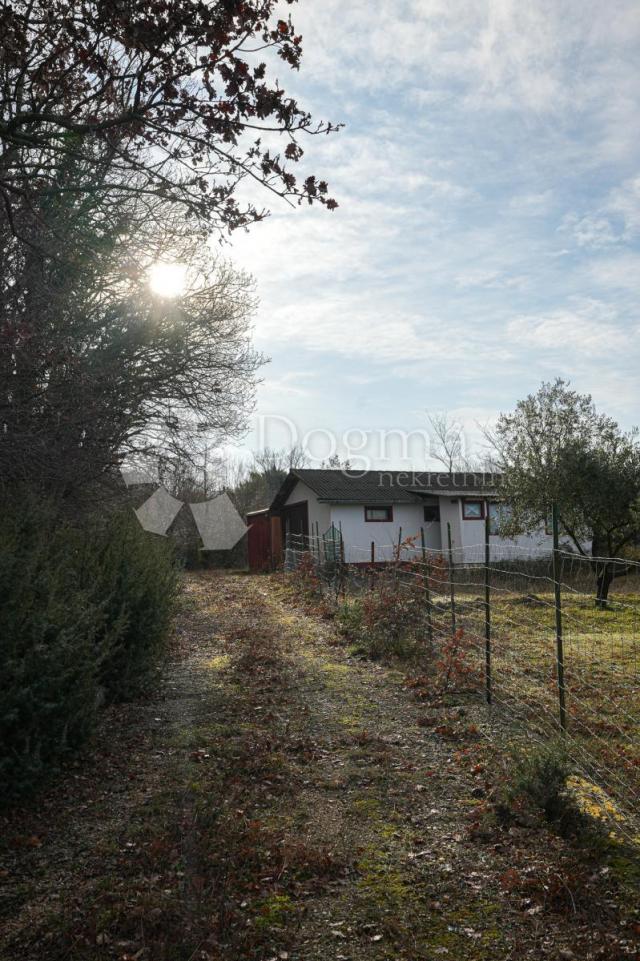 Otok Krk prekrasno imanje  maslinik sa kućom