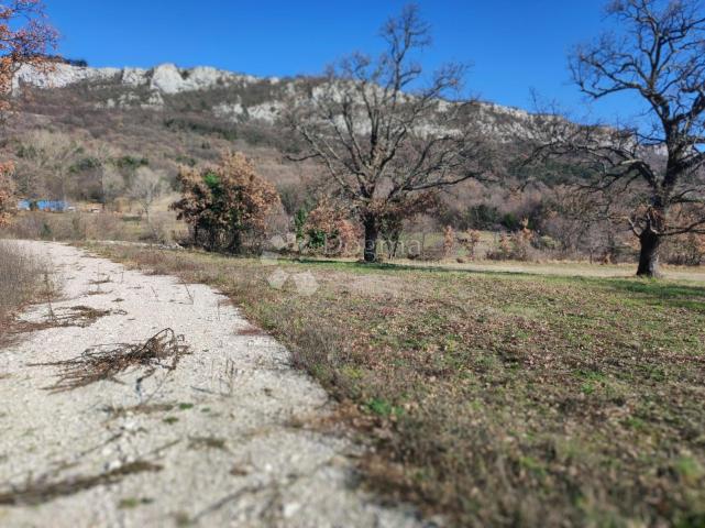 Land Buzet, 1.276m2