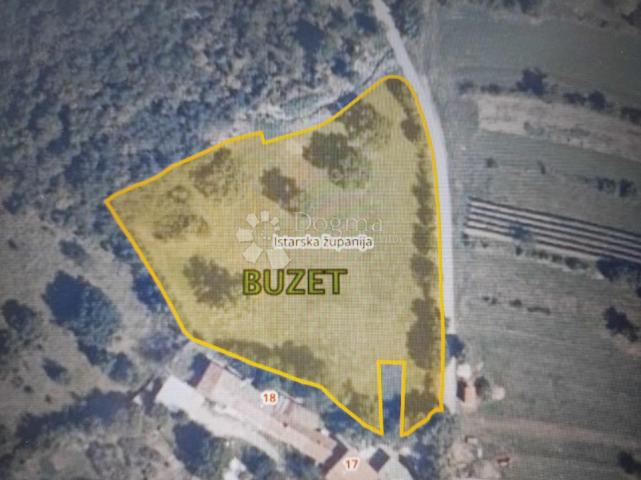 Land Buzet, 1.276m2