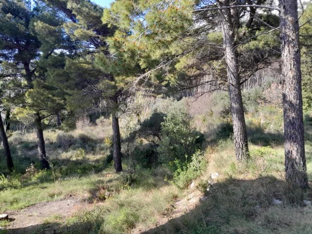 Land Brela, 1.068m2