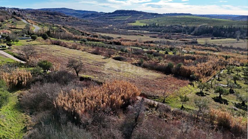 ISTRIEN, BUJE - Baugrundstück mit Panoramablick