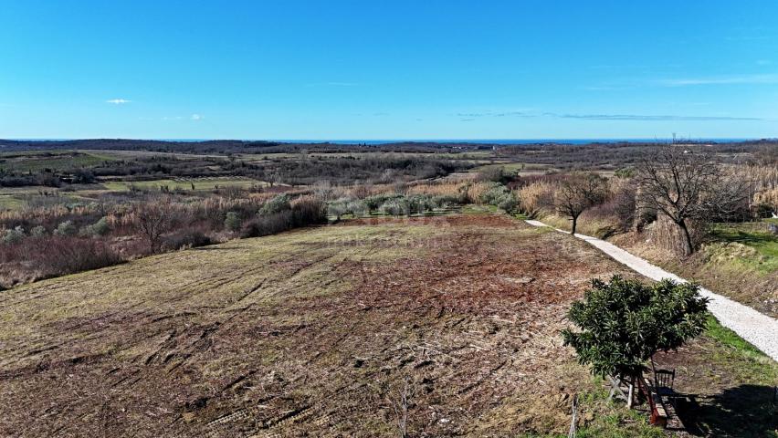 ISTRIEN, BUJE - Baugrundstück mit Panoramablick