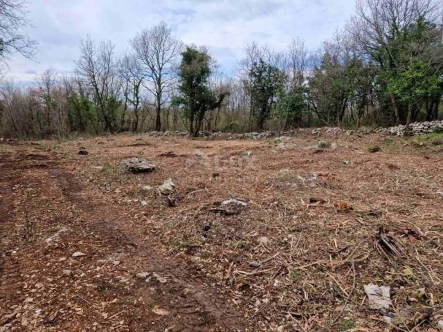 ISTRIA, ST. LOVREČ - Building land for the construction of an ideal home