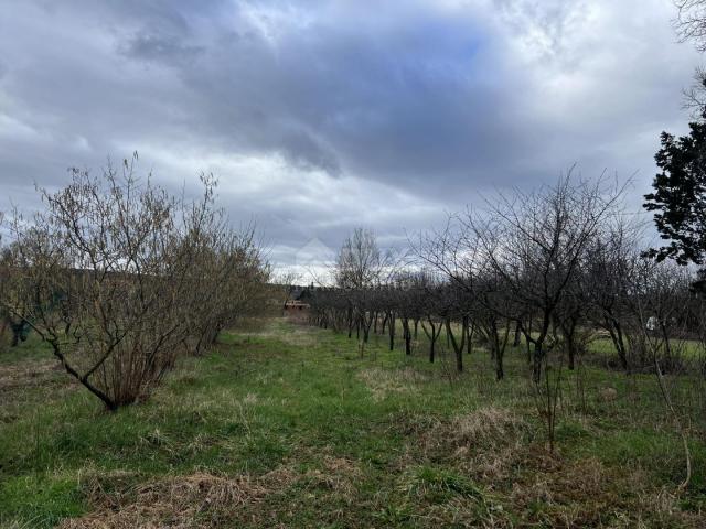 ISTRA, KRŠAN - Prostrano građevinsko zemljište