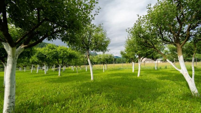 GORSKI KOTAR, BROD NA KUPI - Građevinsko zemljište od 1960m2!