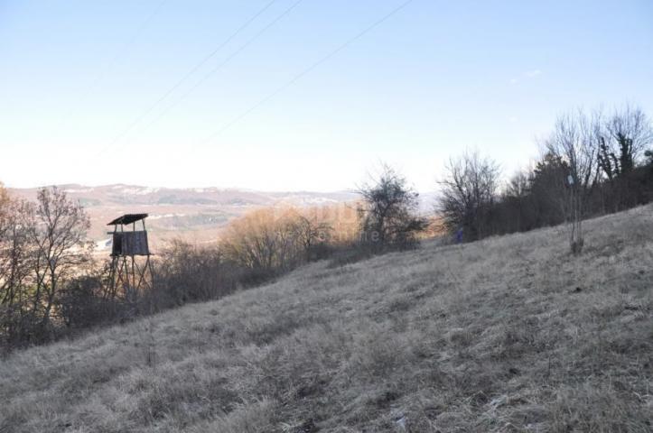 ISTRA BUZET Spacious agricultural and building land