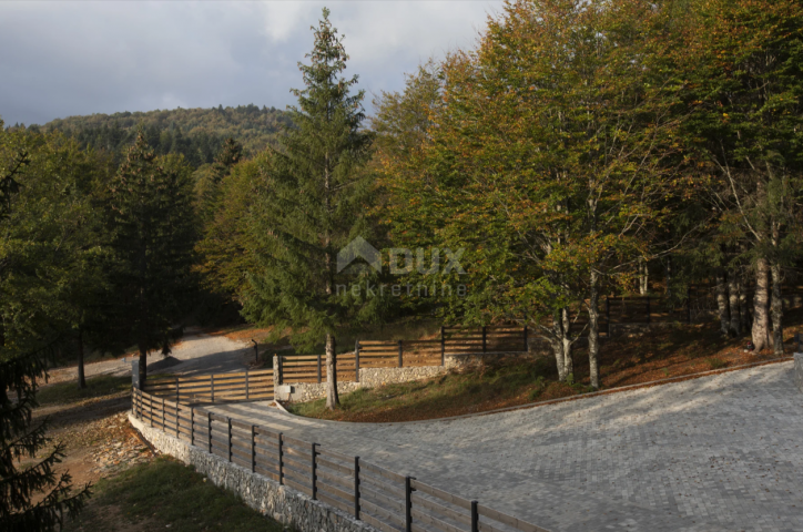 GORSKI KOTAR, RAVNA GORA – Moderne A-FRAME-Villa mit Swimmingpool