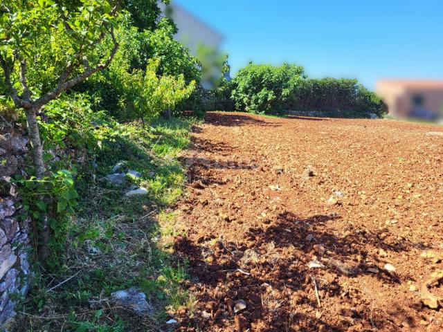 ISTRA, NOVIGRAD - Građevinsko i poljoprivredno zemljište