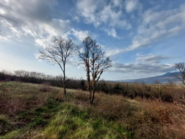 ISTRA, KRŠAN - Atraktivno građevinsko zemljište s pogledom na Učku