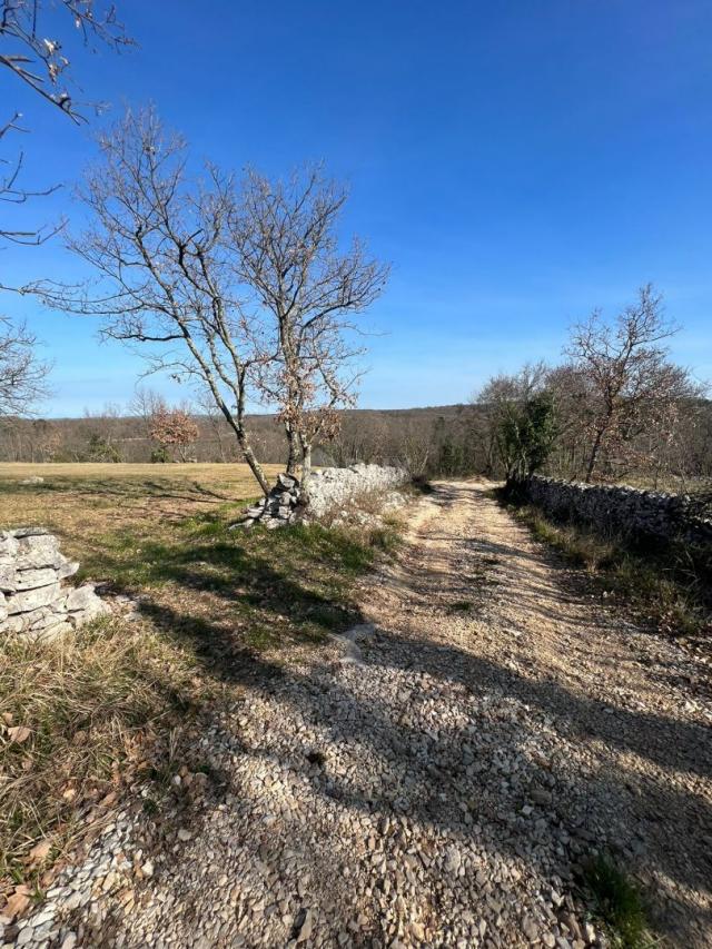 ISTRA, BUJE - Zemljište na osami, zadnje u građevinskoj zoni, pogled na Buje i na more