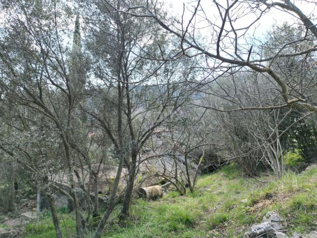 LABIN, SVETA MARINA- stara kuća s građevinskim zemljištem 435m2, s pogledom na more i idejnim projek