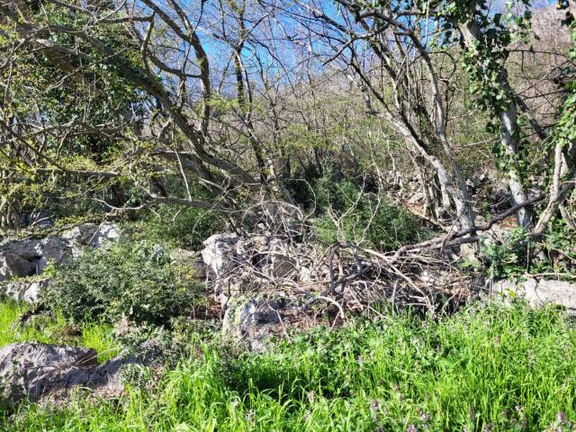 ISTRA, BUZET - Građevinsko zemljište na mirnoj lokaciji