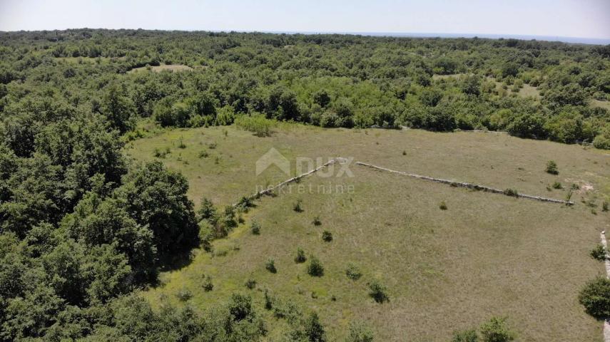 ISTRIEN, ŠTOKOVCI. Grundstück mit Projekt- und Baugenehmigung