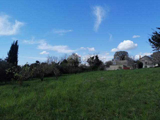 ISTRIA, ŽMINJ Building land in an excellent location, 3200 m2