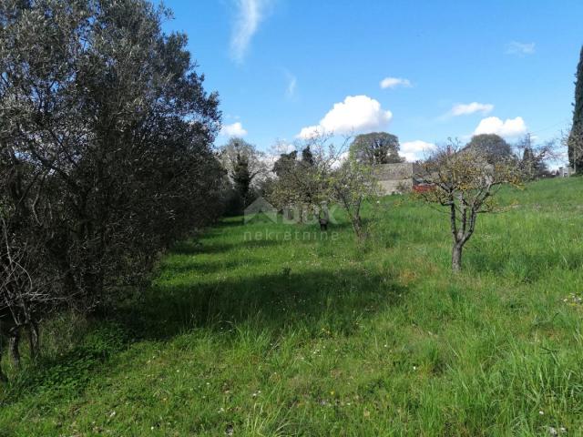 ISTRIA, ŽMINJ Building land in an excellent location, 3200 m2