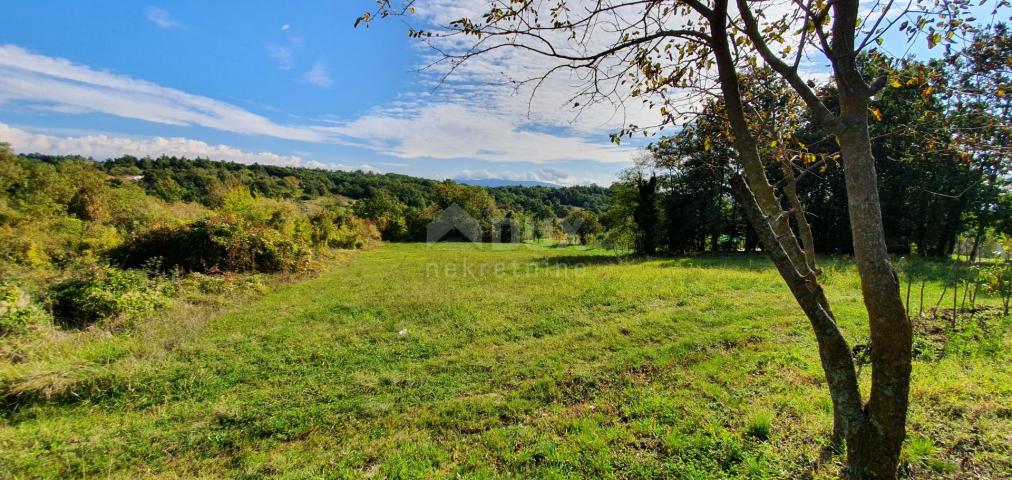 ISTRIA, GRAČIŠĆE - Land complex in a prime location with a beautiful view