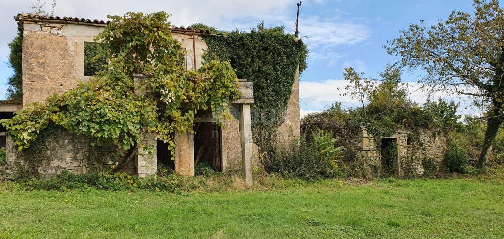 ISTRIA, GRAČIŠĆE - Land complex in a prime location with a beautiful view