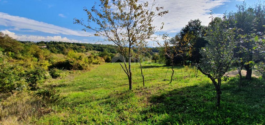 ISTRIA, GRAČIŠĆE - Land complex in a prime location with a beautiful view