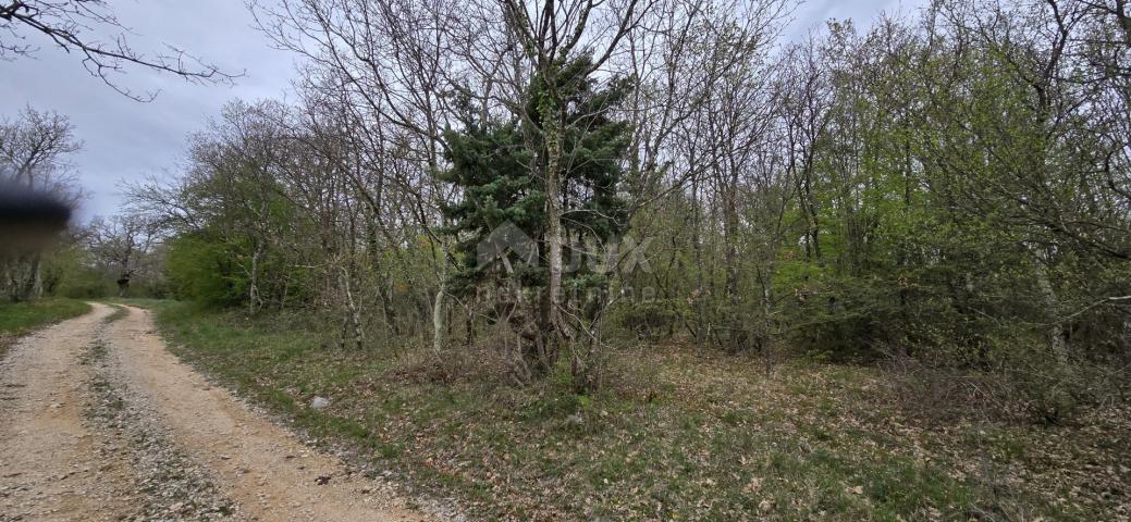 ISTRIEN, KANFANAR - Geräumiges landwirtschaftliches Land von 17,5 Hektar