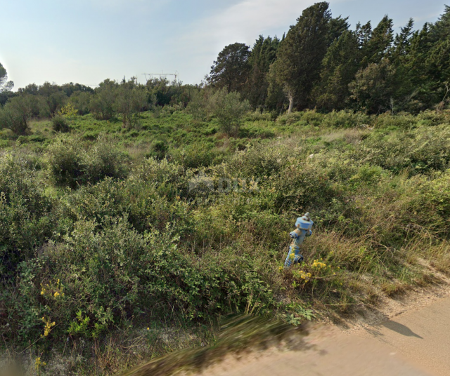 INSEL UGLJAN, UGLJAN - Baugrundstück 250 m vom Meer entfernt