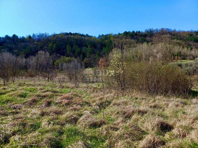 Land Buzet, 10.498m2