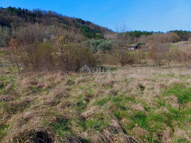 Land Buzet, 10.498m2