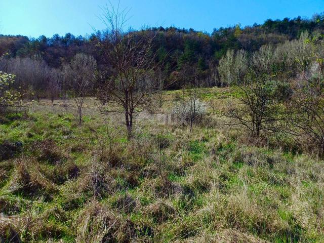 Land Buzet, 10.498m2