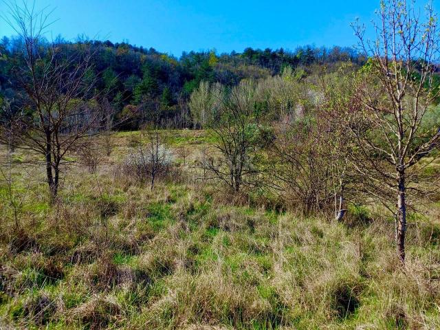 Land Buzet, 10.498m2