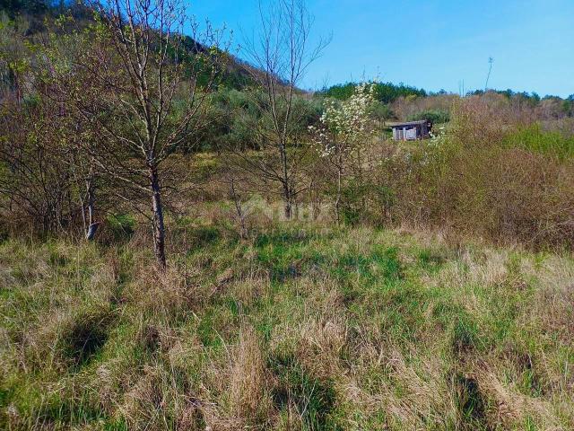 Land Buzet, 10.498m2