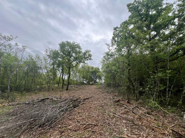 ISTRIA, LABIN - Building land with a view of nature