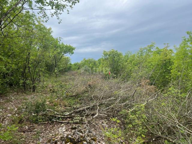 ISTRIA, LABIN - Building land with a view of nature