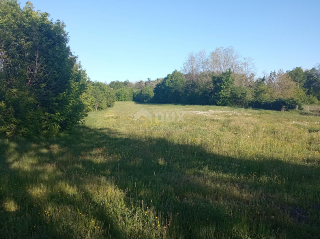 ISTRA, PAZIN - Prostrano građevinsko zemljište nedaleko centra grada