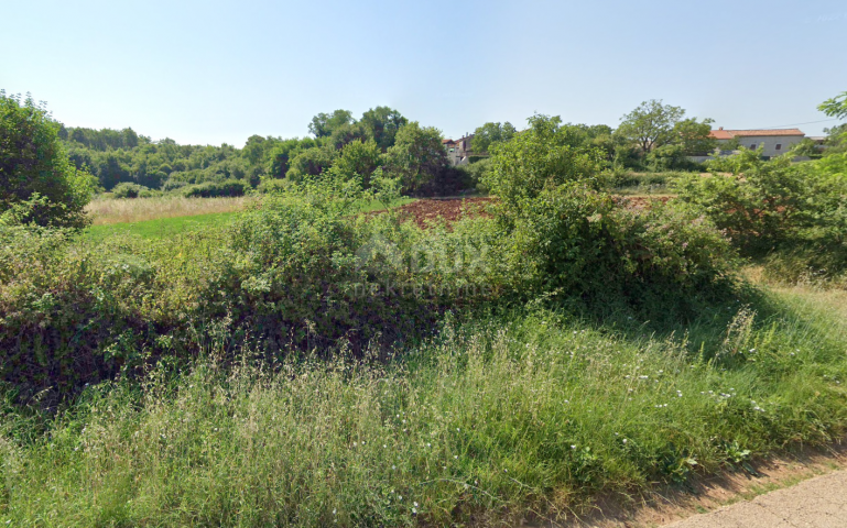 ISTRIA, SVETI LOVREČ - Land on the edge of the construction zone, surrounded on 3 sides by untouched